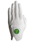 (Tour One Pro Glove (YL/GN)