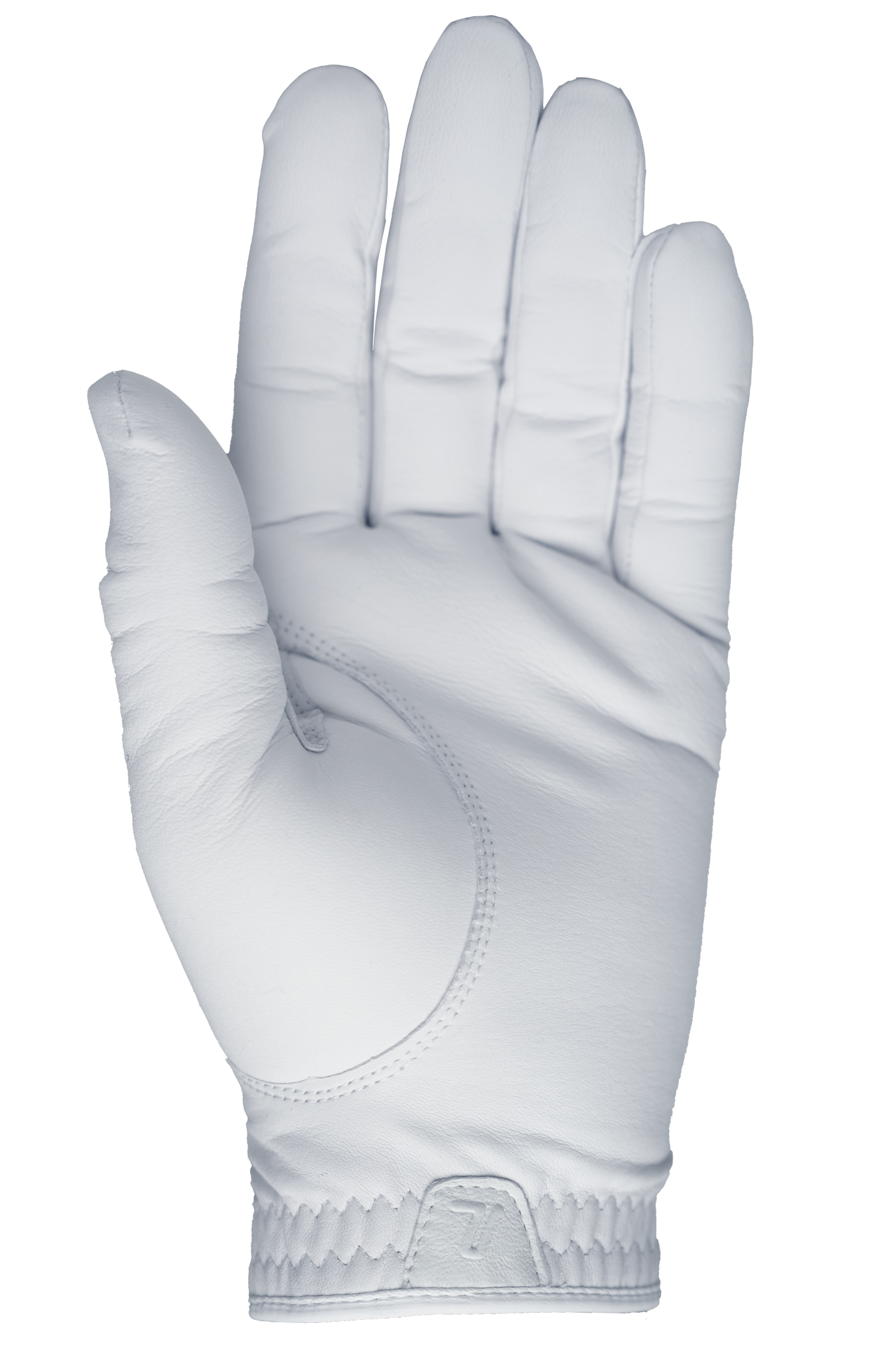 Tour One Pro Glove